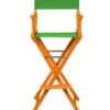 Director's Chair - Bar Height - Wood And Fabric Color Choices - By Trademark Innovations (Honey Wood With Green)
